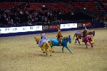 Quadrille - 00564